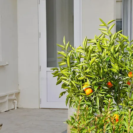 Appartement Bas De Vallon Des Signes La Seyne-sur-Mer